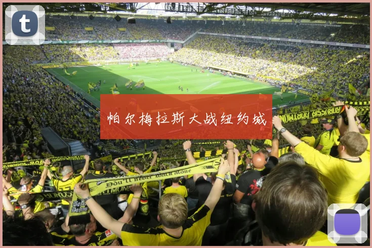 帕尔梅拉斯大战纽约城