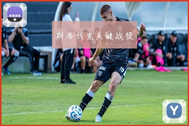 斯洛伐克关键战役