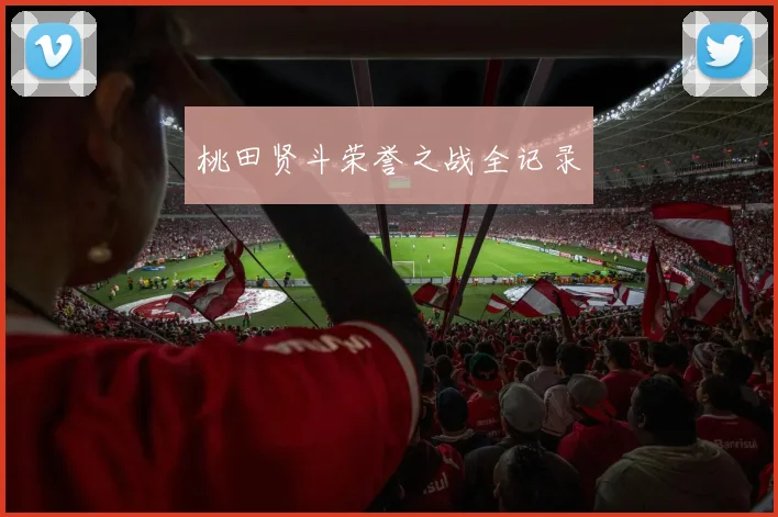 桃田贤斗荣誉之战全记录