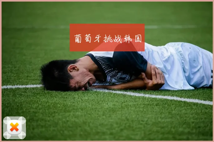 葡萄牙挑战韩国