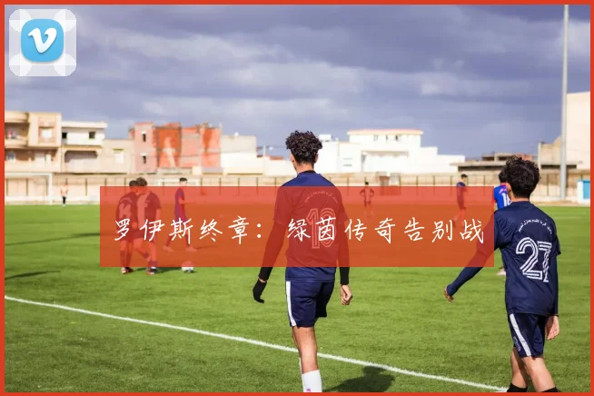罗伊斯终章：绿茵传奇告别战
