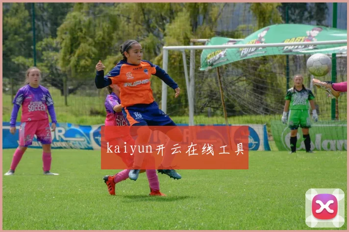 kaiyun开云在线工具
