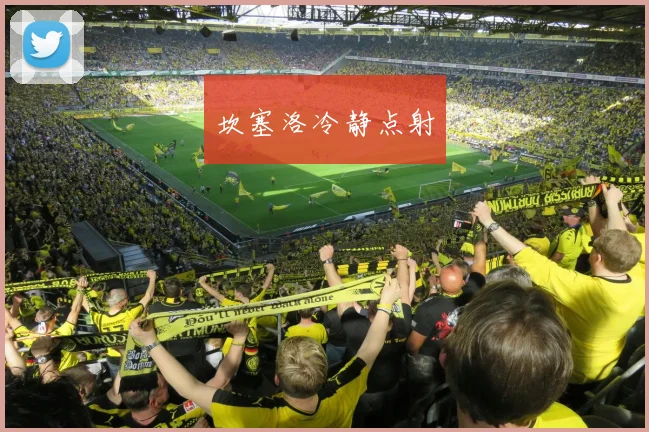 坎塞洛冷静点射