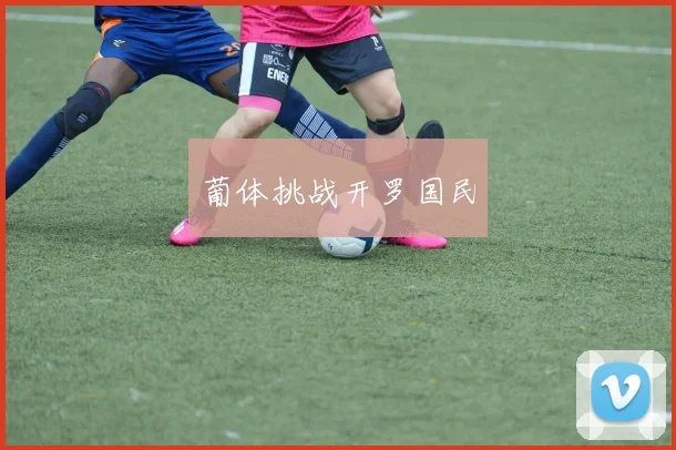 葡体挑战开罗国民