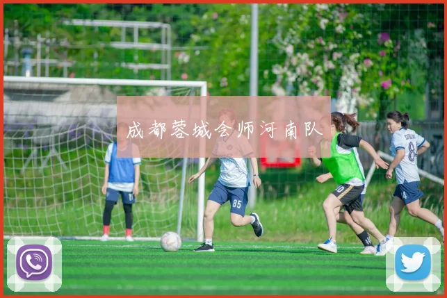 成都蓉城会师河南队