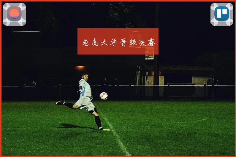 老虎大学晋级决赛