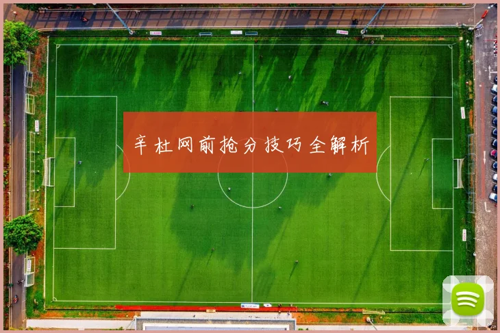 辛杜网前抢分技巧全解析