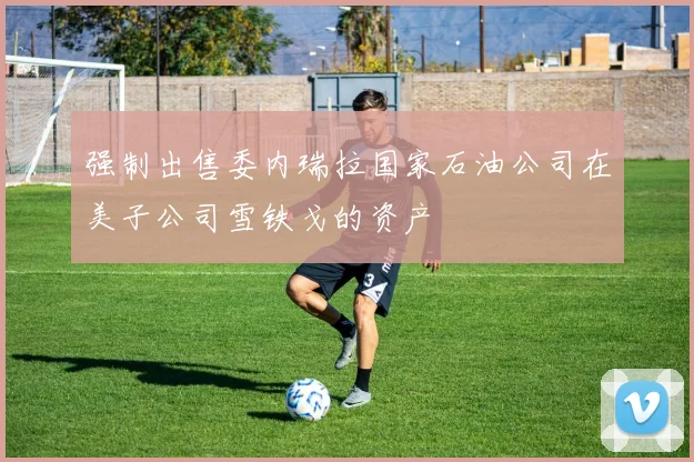 强制出售委内瑞拉国家石油公司在美子公司雪铁戈的资产