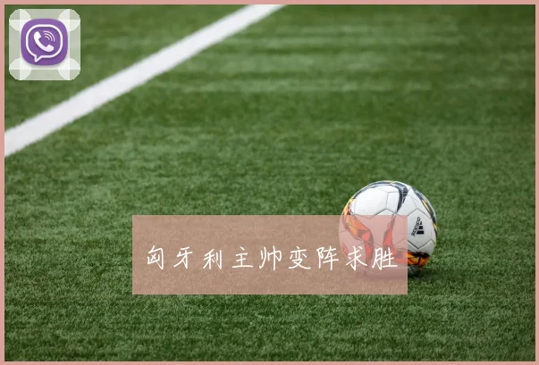 匈牙利主帅变阵求胜