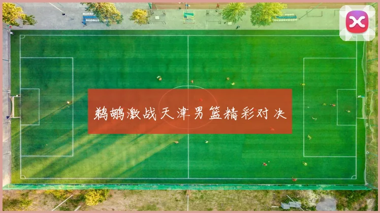 鹈鹕激战天津男篮精彩对决