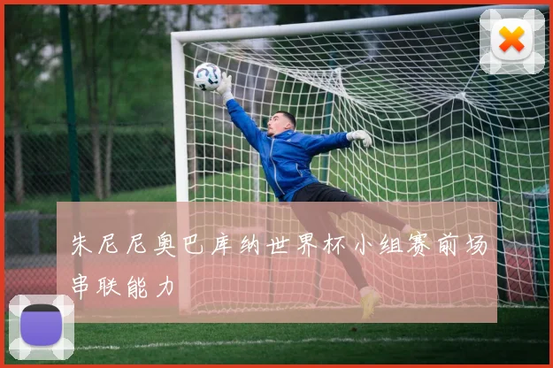 朱尼尼奥巴库纳世界杯小组赛前场串联能力