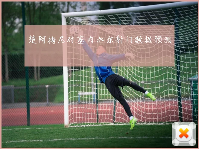 楚阿梅尼对塞内加尔射门数据预测