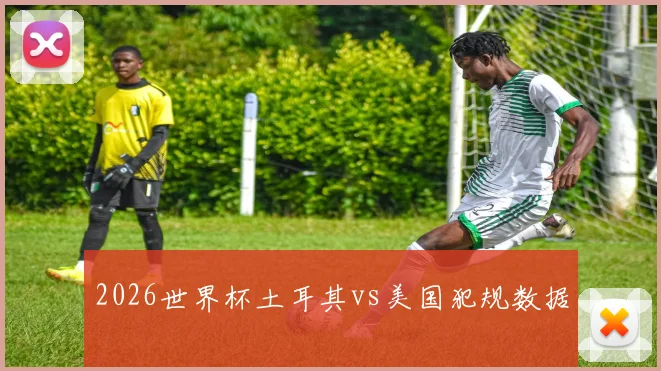 2026世界杯土耳其vs美国犯规数据