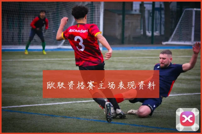 欧联资格赛主场表现资料