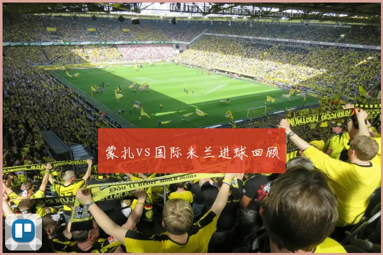 蒙扎vs国际米兰进球回顾